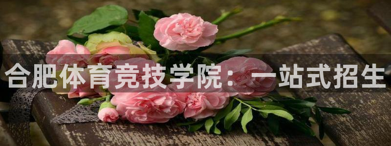 关键词：合肥体育竞技学院：一站式招生