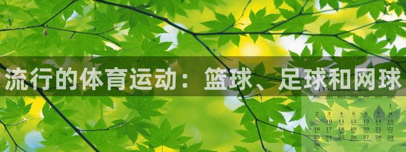 91体育：流行的体育运动：篮球、足球和网球