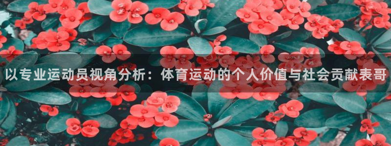 991体育综合1