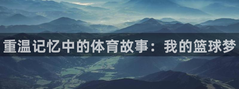 91体育在线登陆