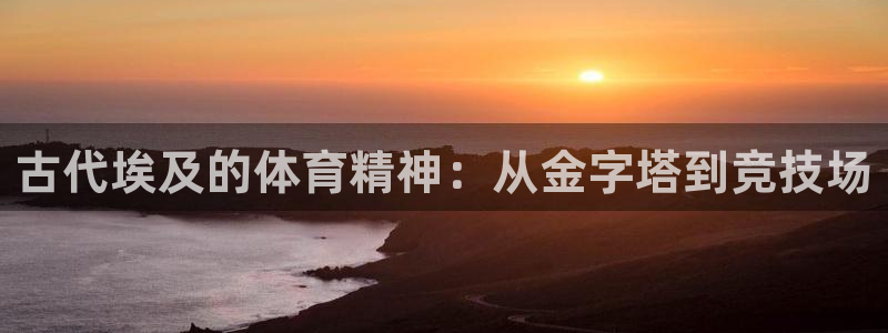 91体育网页版