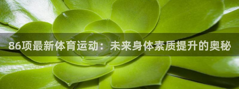 91体育网页版