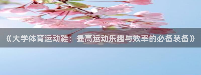 91体育网页版